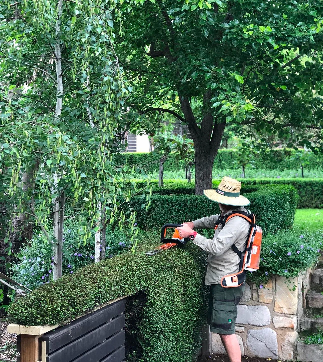 Hedge Trimming Canberra