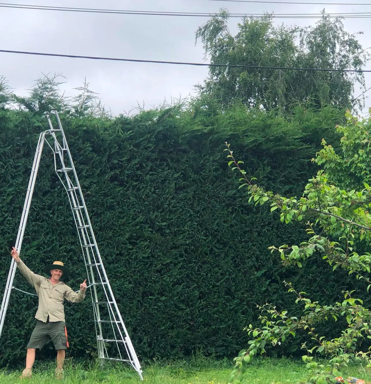 Hedging Services