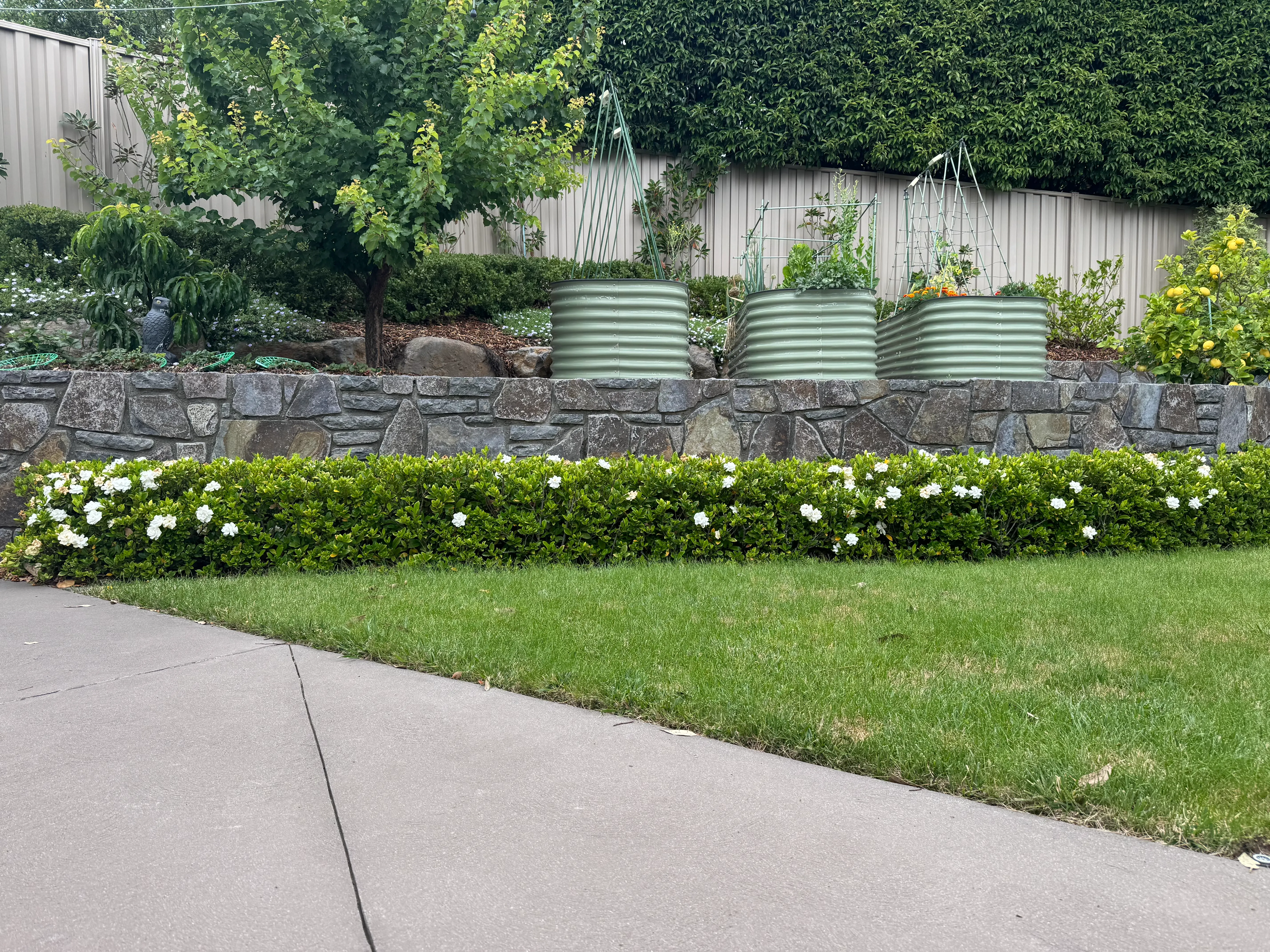 Garden Maintenance