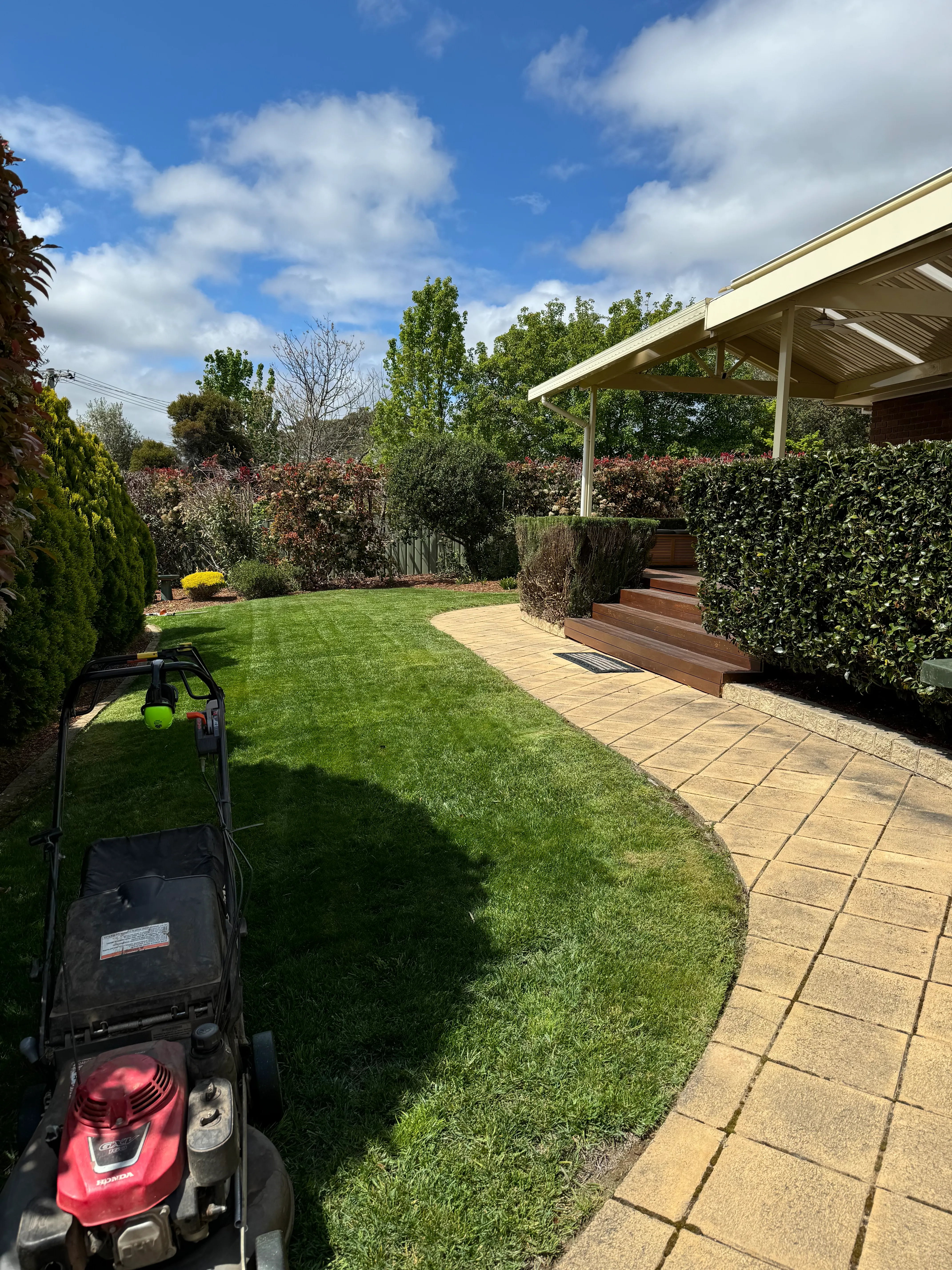 Garden Tidy-Ups