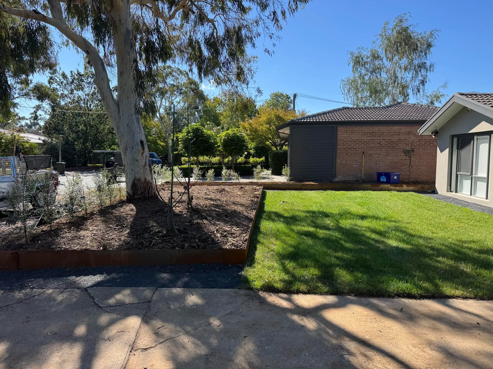 Tree Maintenance