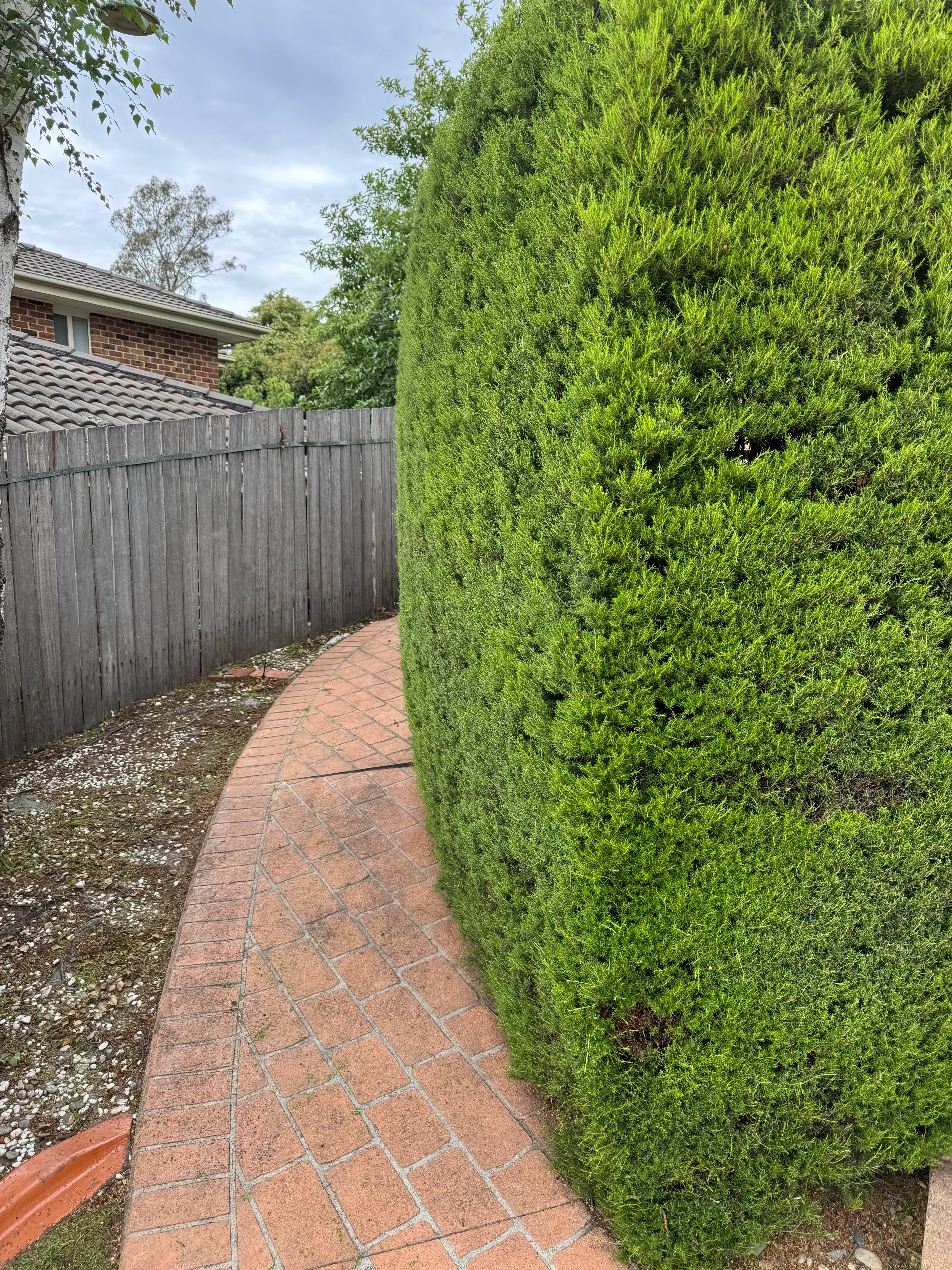 Precision Trimming
