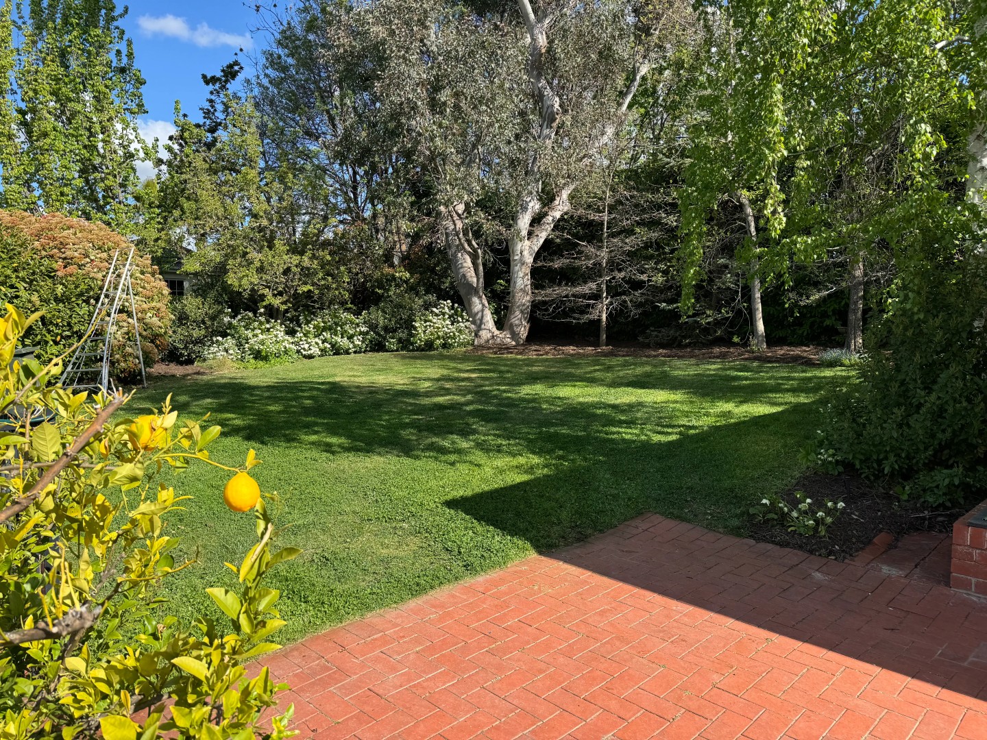 Beautiful garden