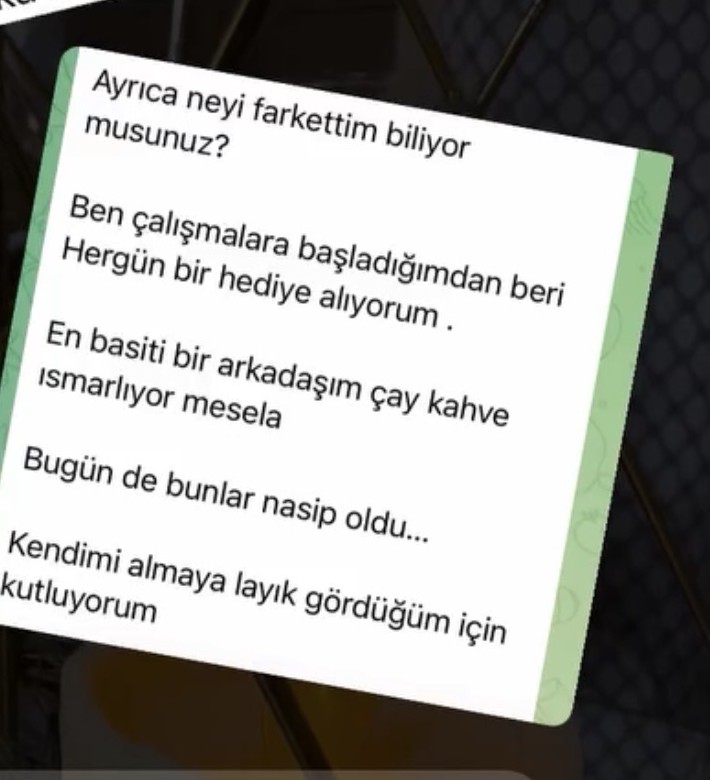 Katılımcı mesajı