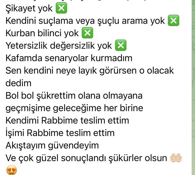 Katılımcı mesajı