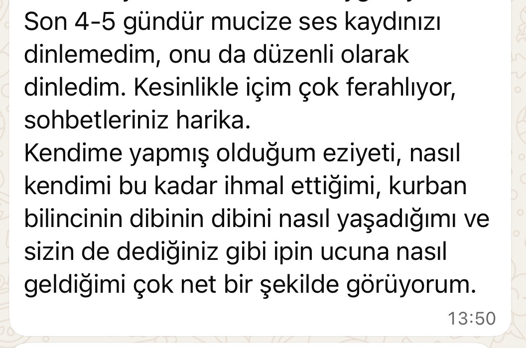 Katılımcı mesajı