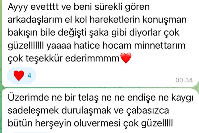 Katılımcı mesajı