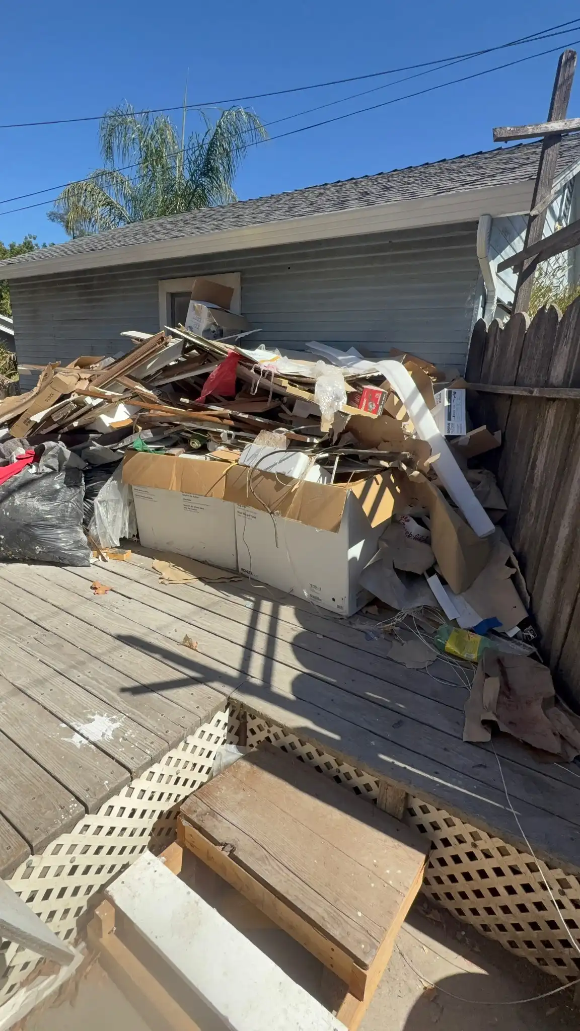 Before junk removal: overgrown backyard with debris and clutter