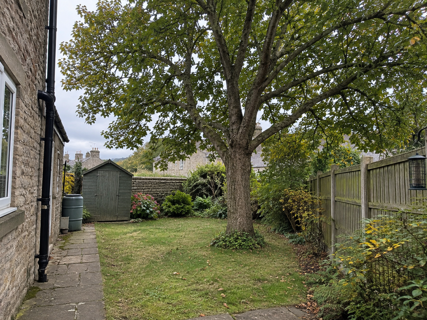 Restricted garden before &mdash; illustrative example (restricted garden, tree removal)