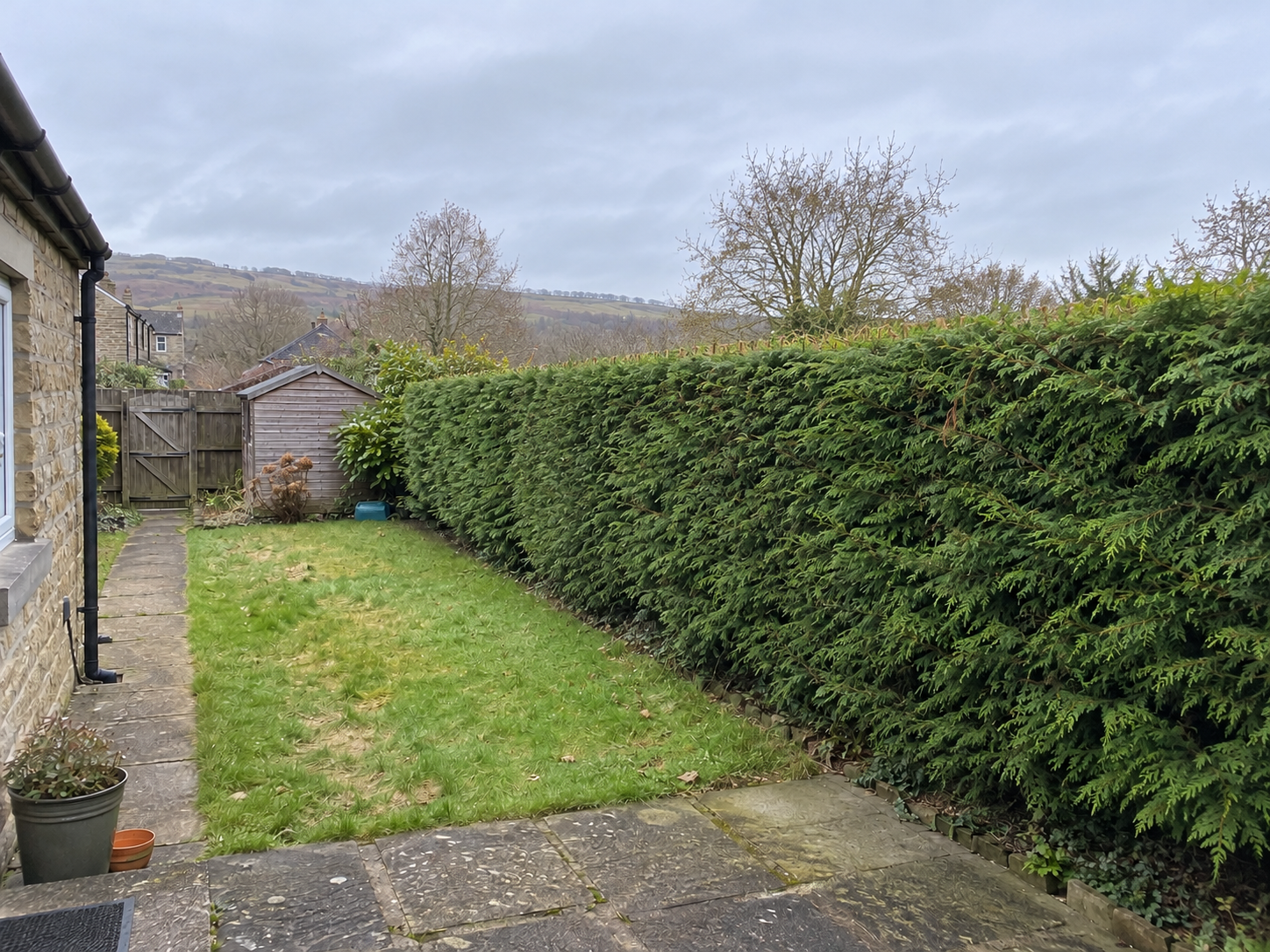 Overgrown hedge after &mdash; illustrative example (overgrown hedge, height and spread reduced)