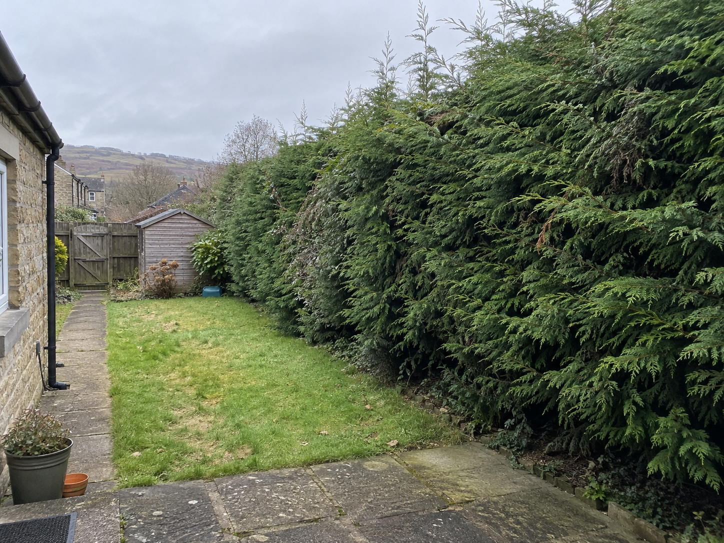 Overgrown hedge before &mdash; illustrative example (overgrown hedge, height and spread reduced)