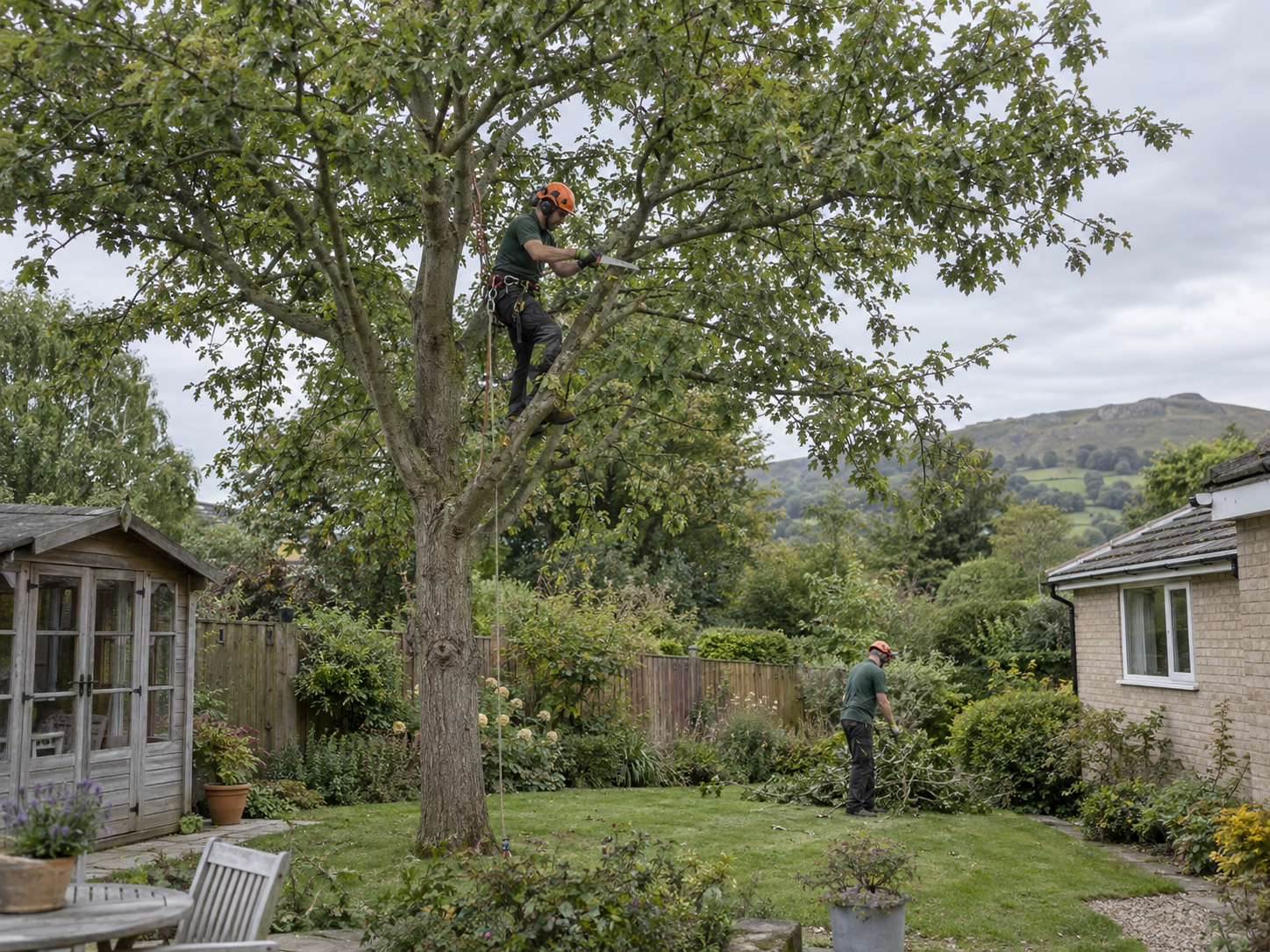 Recent tree care project 5 by A & J Treecare & Landscapes