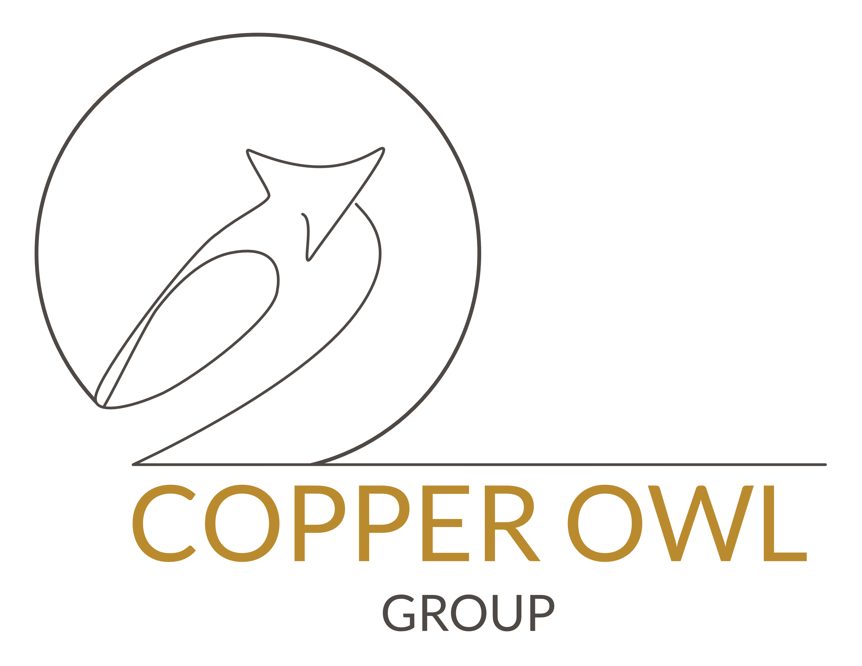 Copper owl group intuitive leadership coaching development
