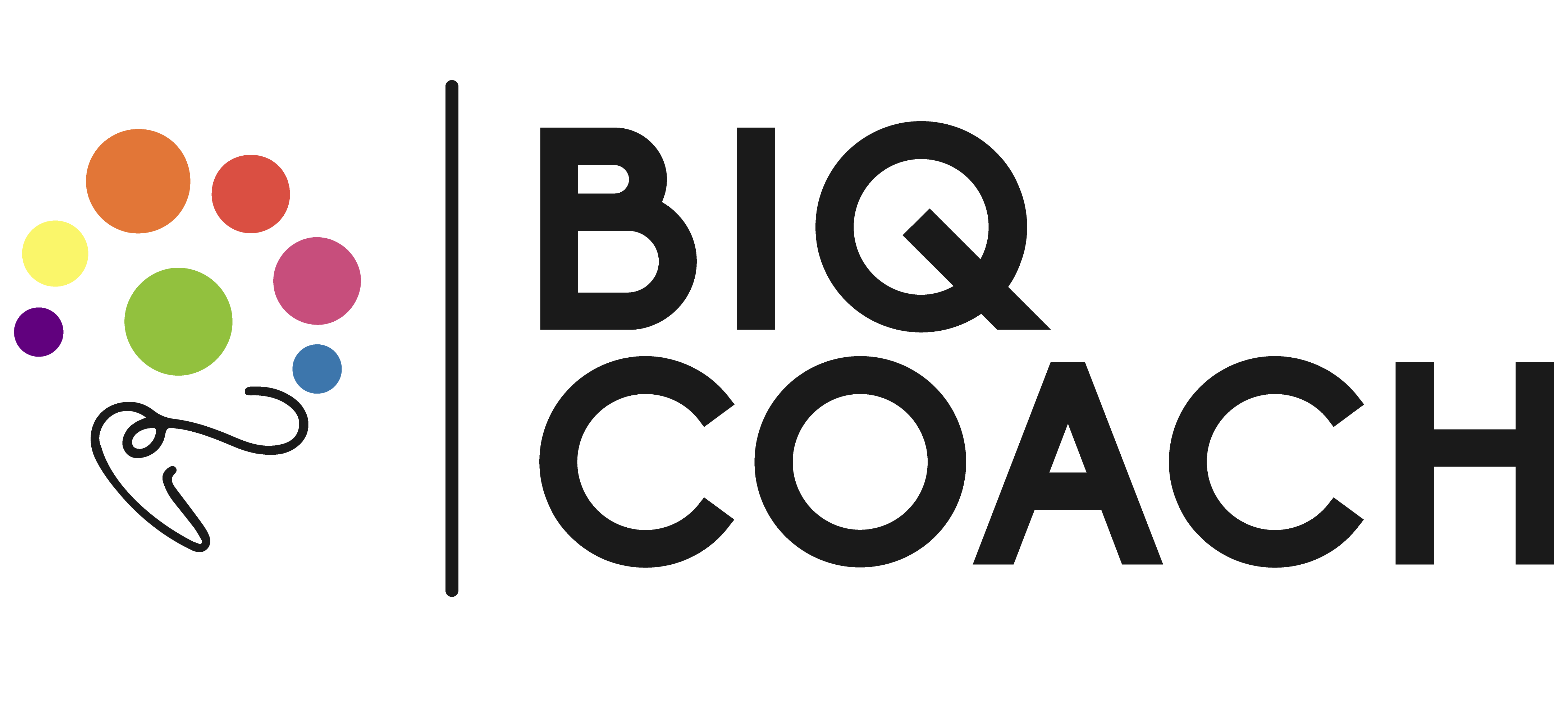 BIQCoach Brand Logo