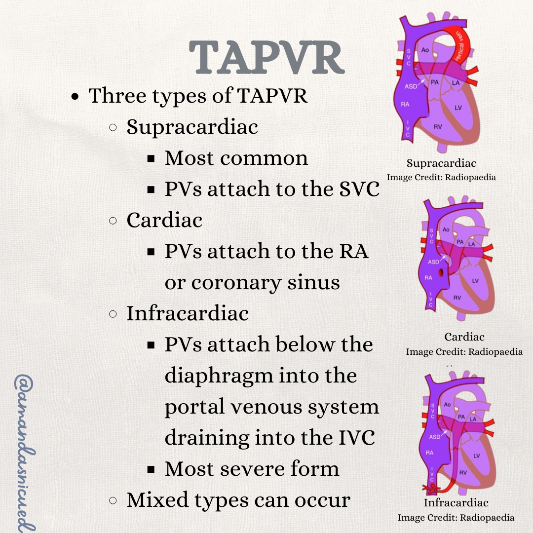 Neonatal heart diagram demonstrating total anomalous pulmonary venous return (TAPVR), a congenital heart defect causing oxygenated blood to return to the right side of the heart. Neonatal heart diagram demonstrating total anomalous pulmonary venous return (TAPVR), a congenital heart defect causing oxygenated blood to return to the right side of the heart.
