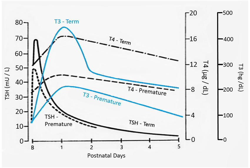 Changes in thyroid hormone at birth