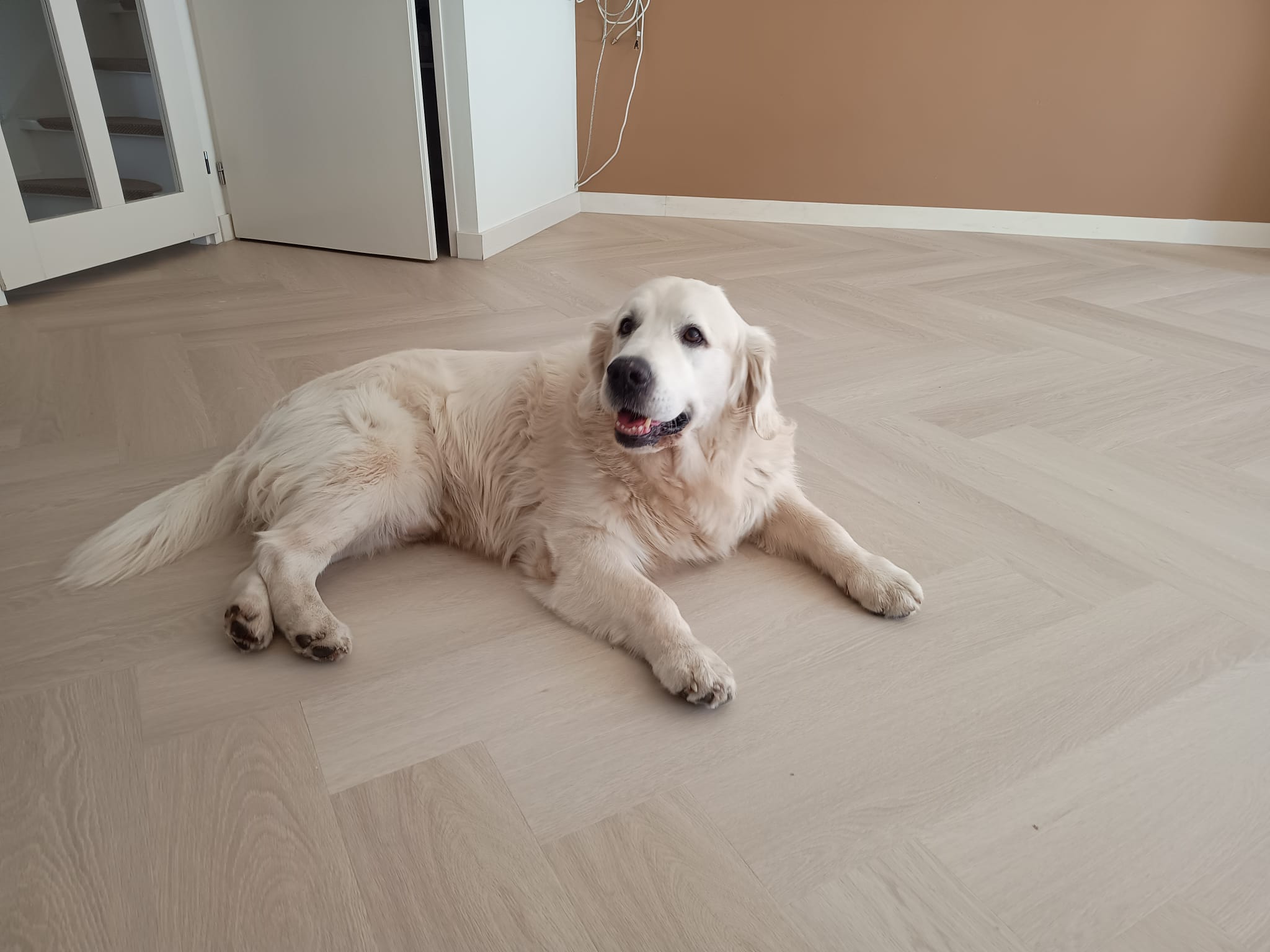 Waar staan we bekend om VDL Stofferingen