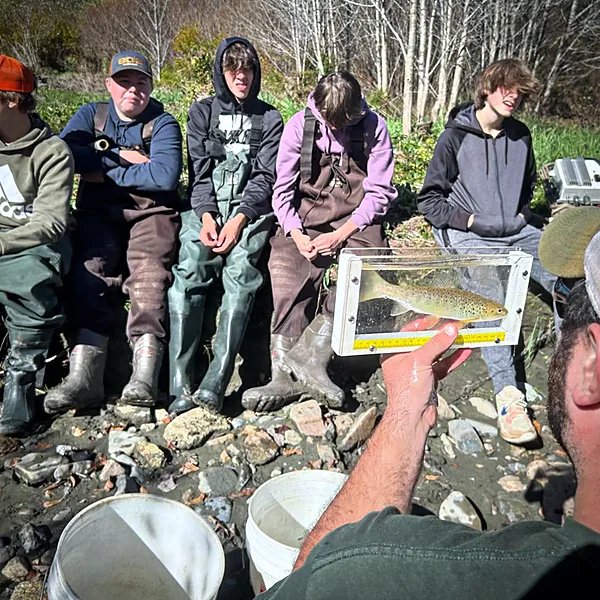 Instructor showing students a brown trout in a viewing tank during electrofishing