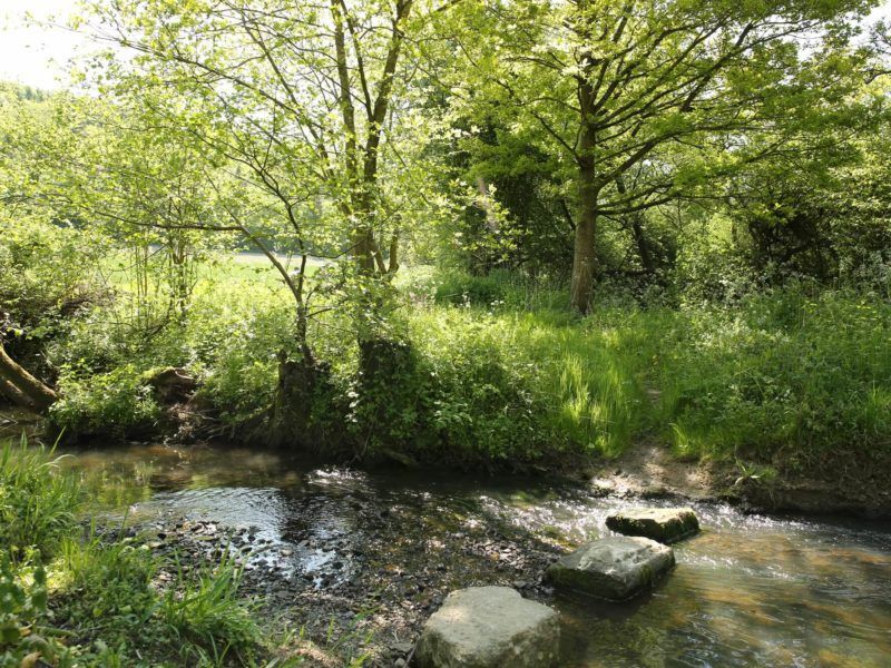 Eaton Brook running through the estate