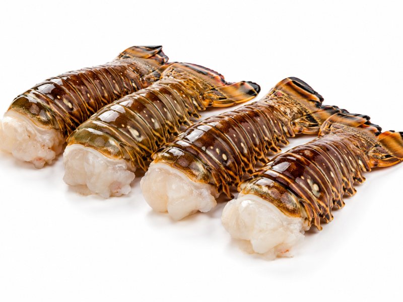 Lobster tails