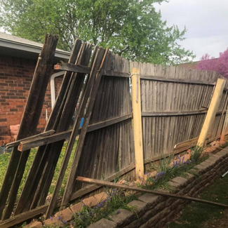 Fencing Removal