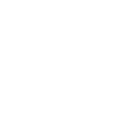 SEO & Local Growth Icon