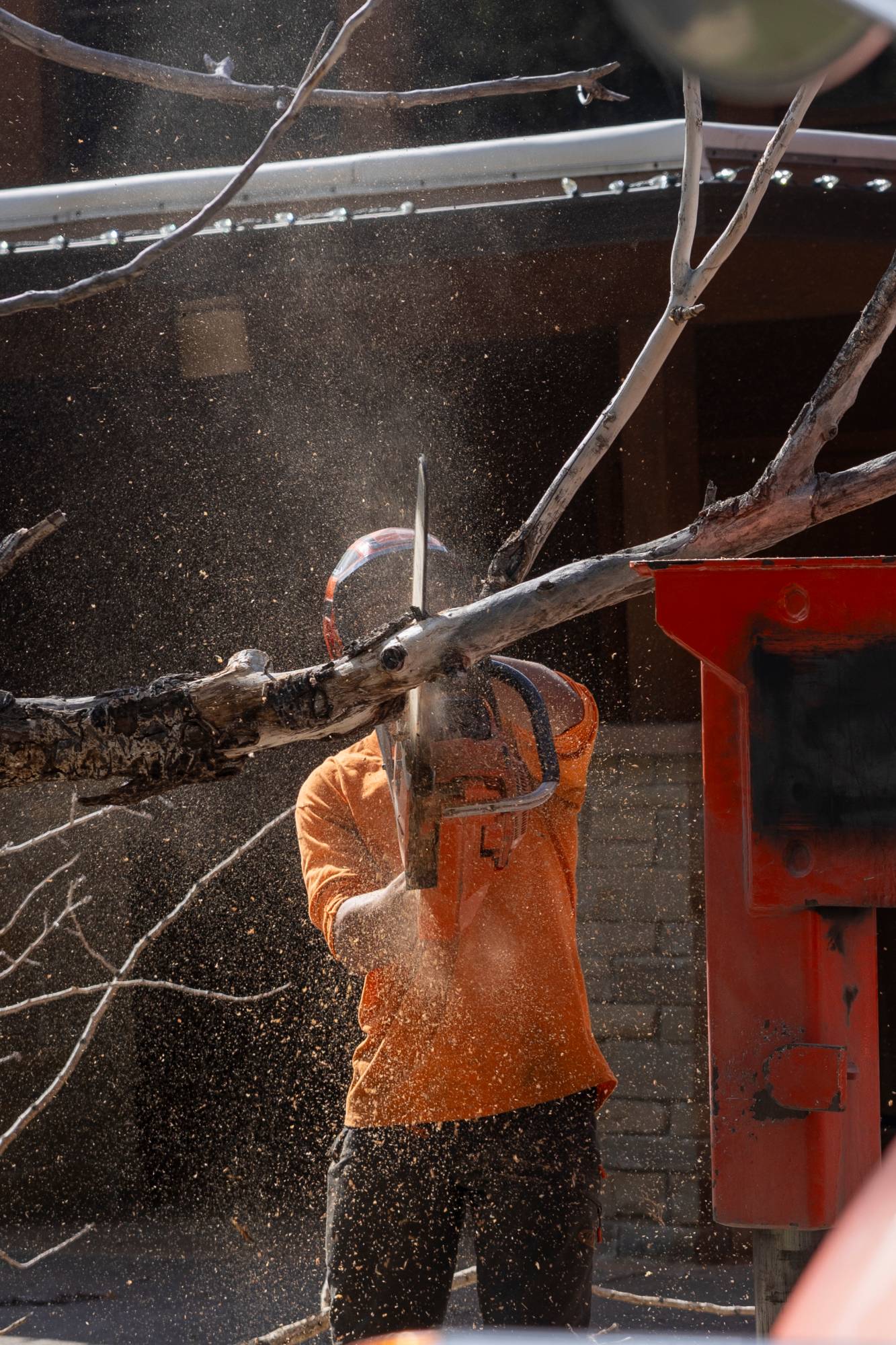 A tree crew cutting a limb, sawdust in the air