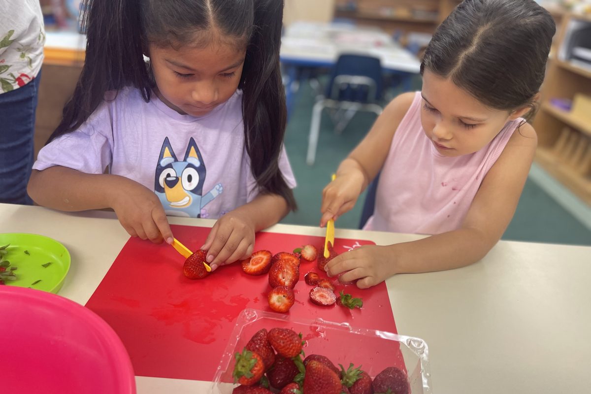 Two preschoolers slicing strawberries on a red cutting board in a Little Scholars classroom