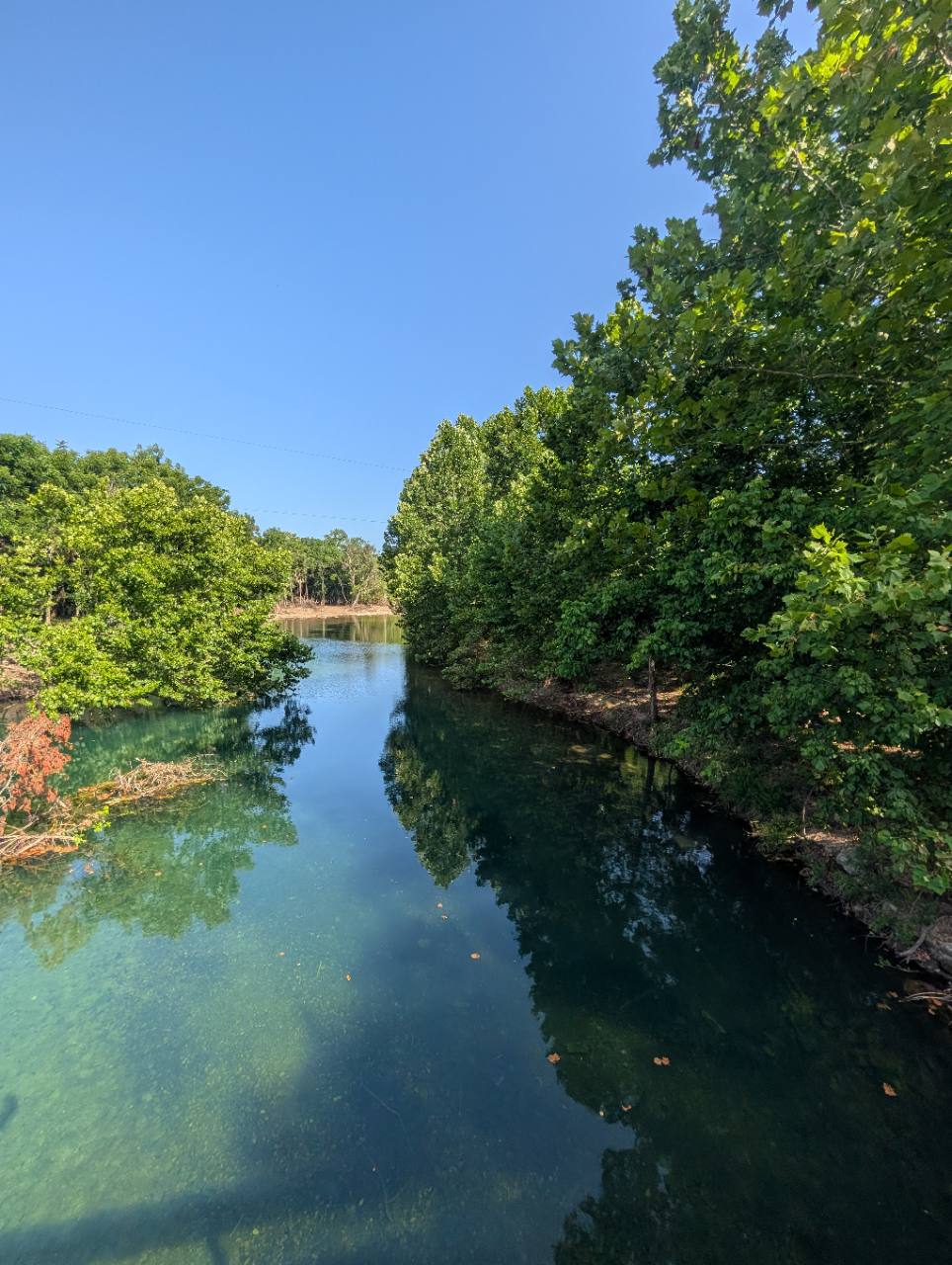 Clear water and trees along Five Mile Creek at The Valley