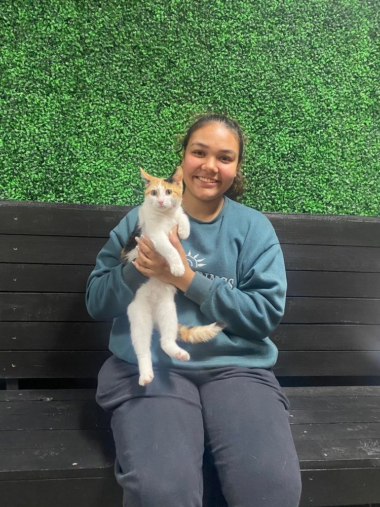 2023 adoptions — preserved photo 79