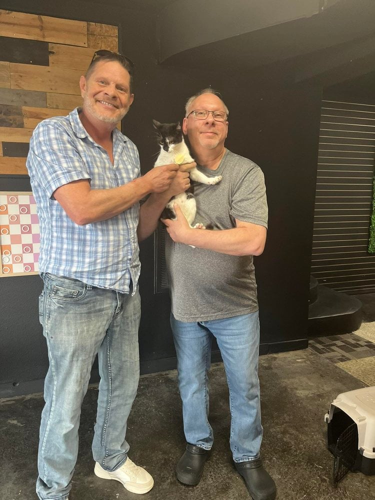 2026 adoptions — preserved photo 11