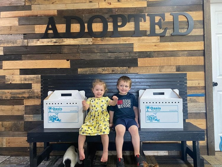 2023 adoptions — preserved photo 29