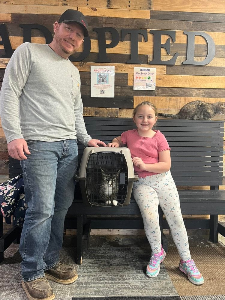 2026 adoptions — preserved photo 5