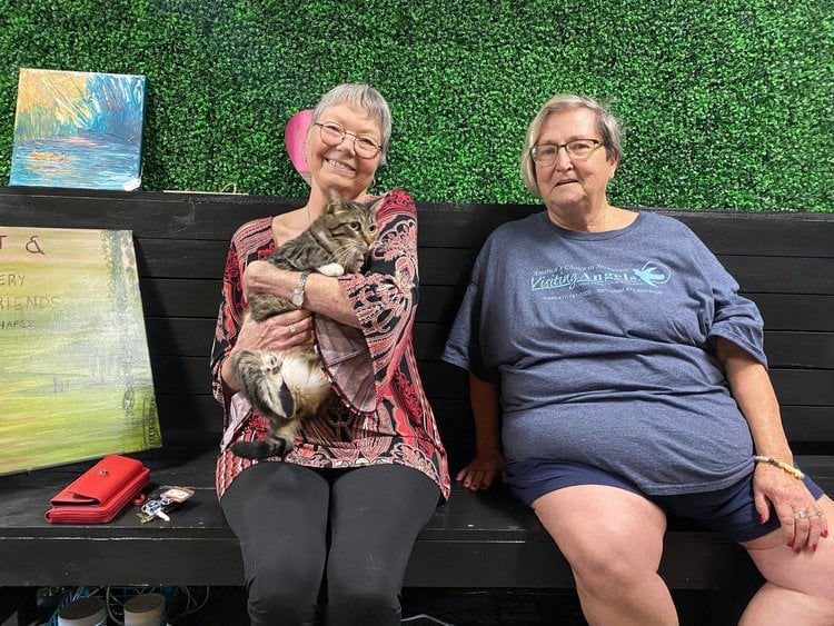 2023 adoptions — preserved photo 57