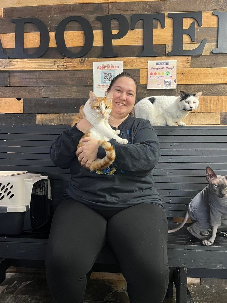 2026 adoptions — preserved photo 4