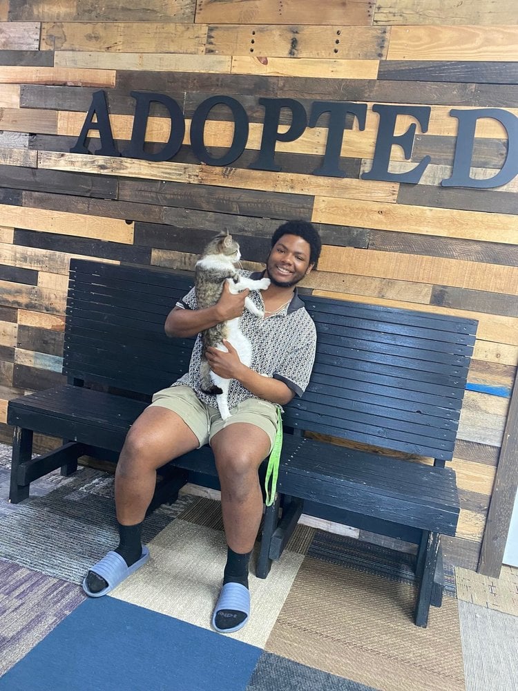 2023 adoptions — preserved photo 27