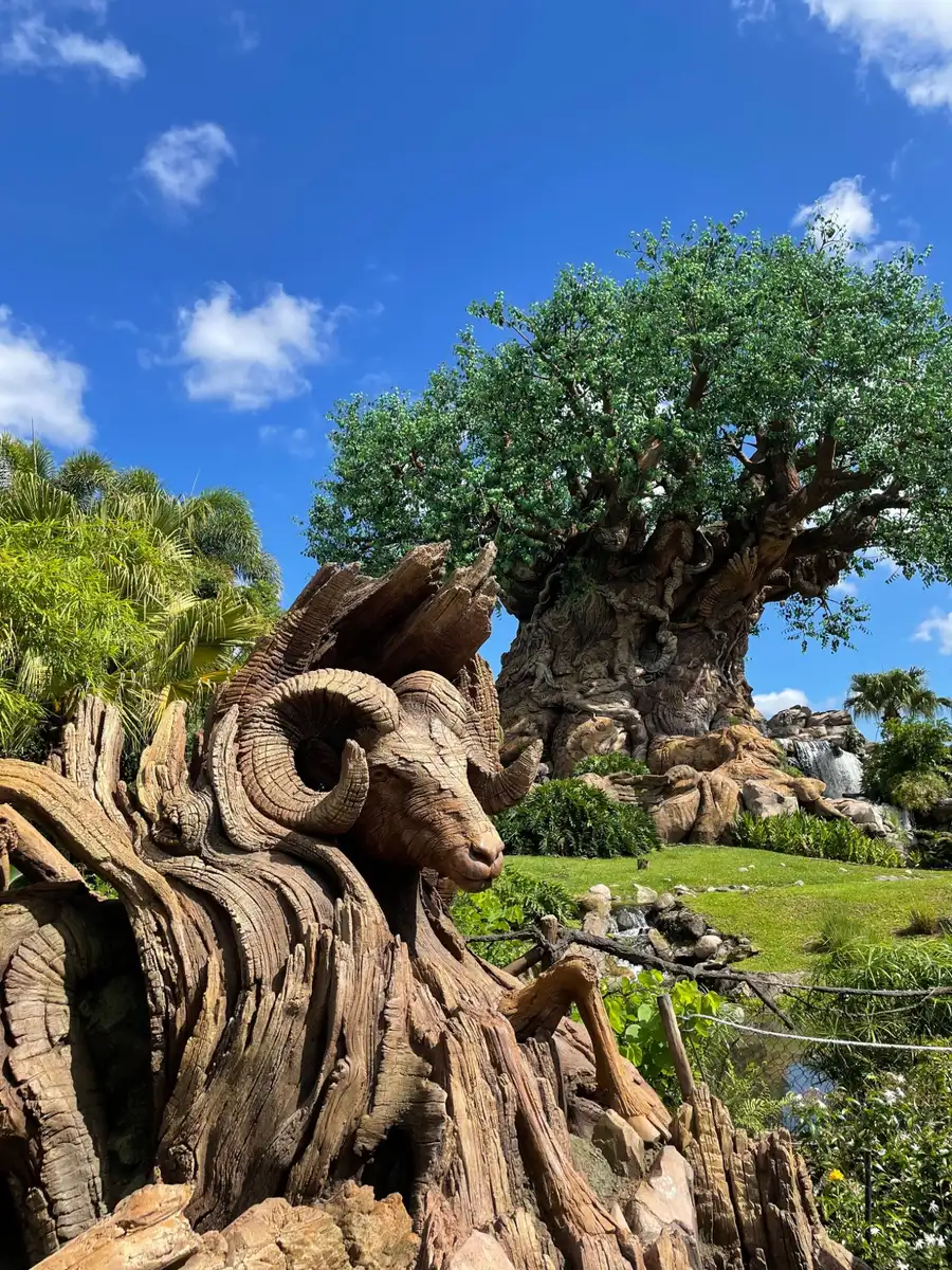 Animal Kingdom Walt Disney World Animal Kingdom Walt Disney World