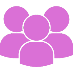 Icon 1