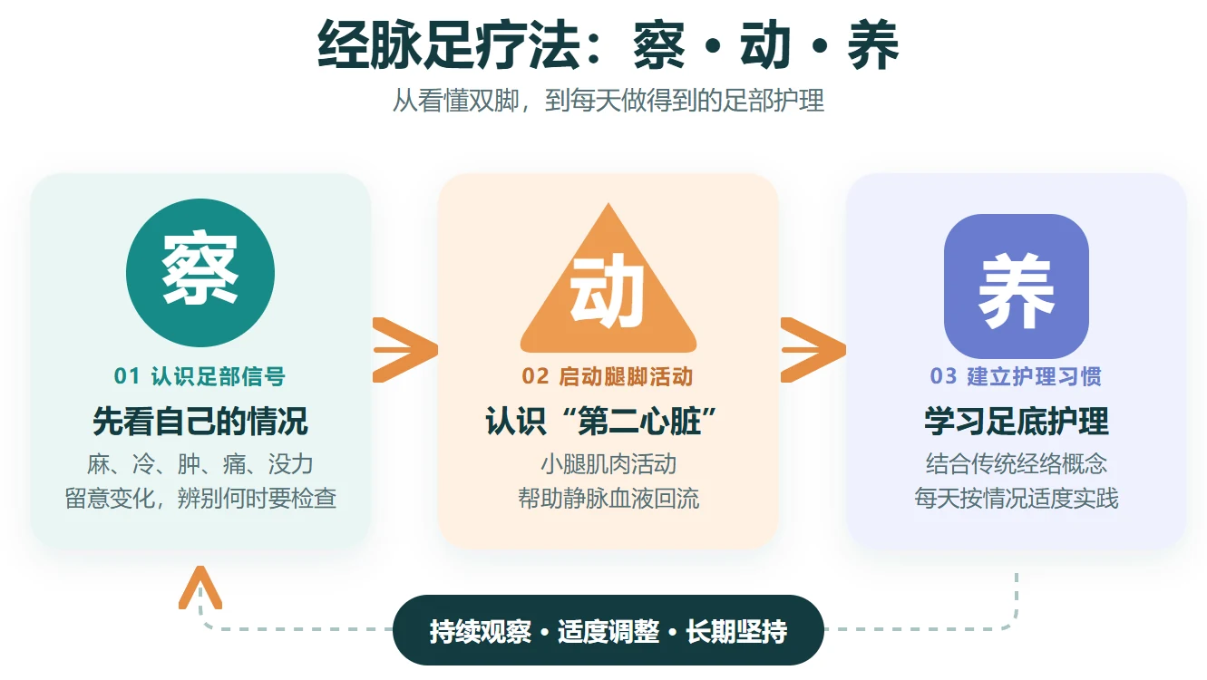经脉足疗法:察、动、养三阶段模型