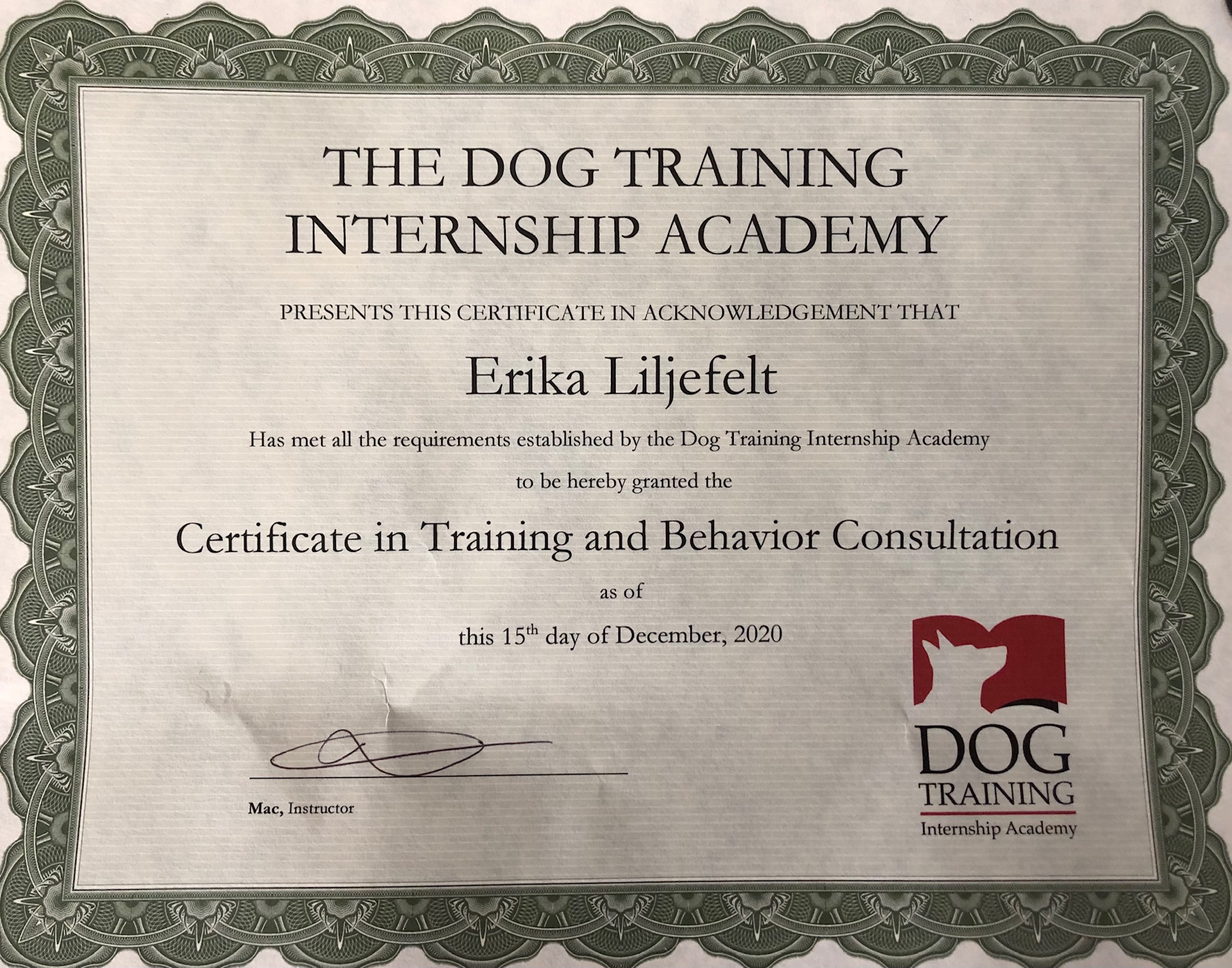 DTIA — Dog Training Internship Academy