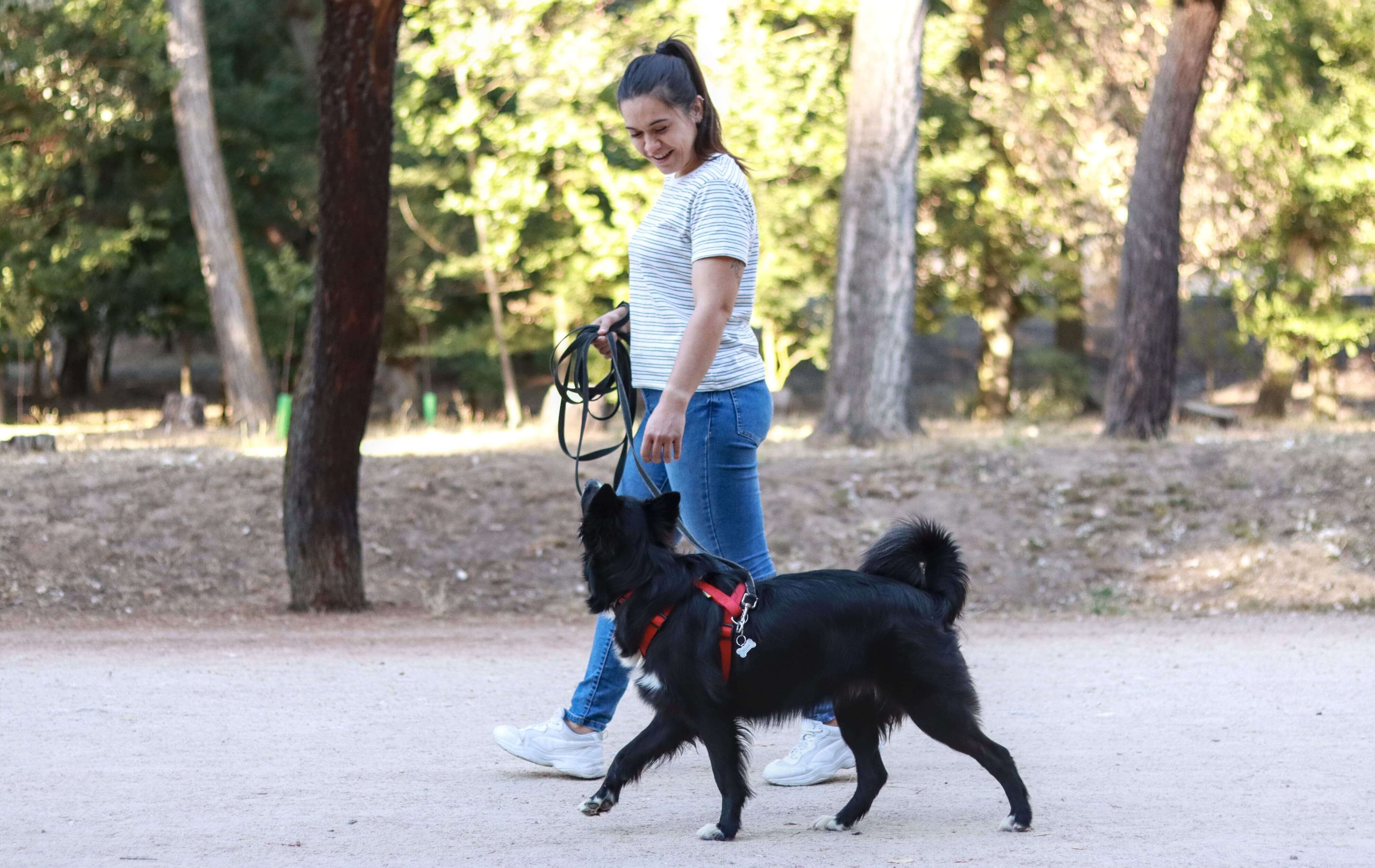 A relaxed dog resting calmly next to their guardian outdoors