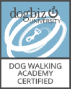 Certification 17