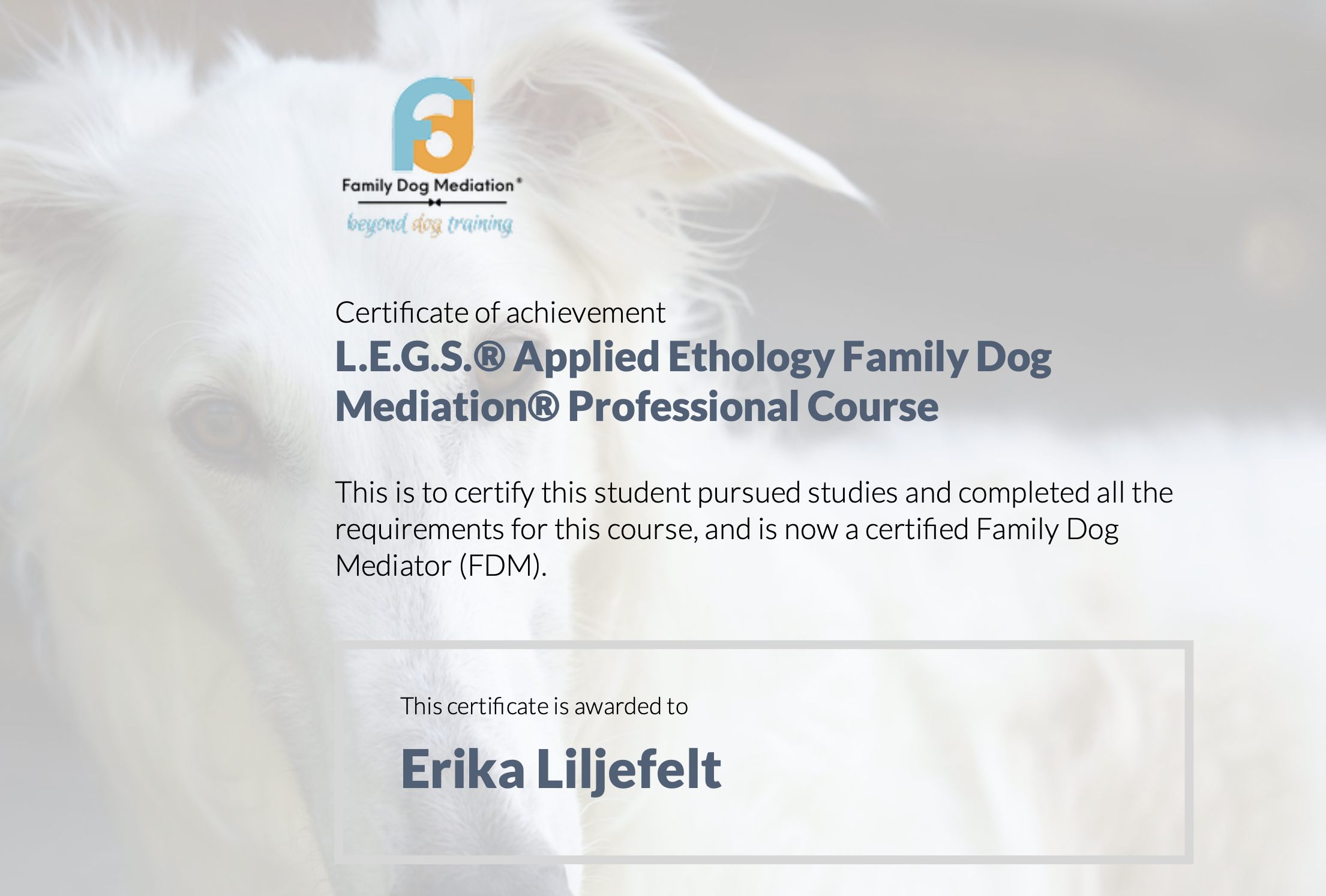 Family Dog Mediator