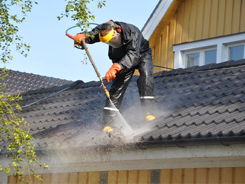 Gutter Cleaning in Winter Garden