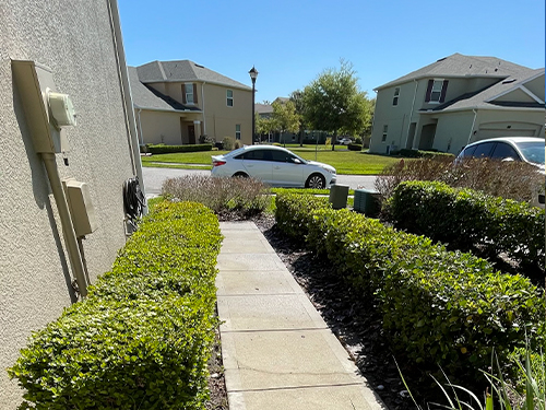 Groveland Driveway and Sidewalk