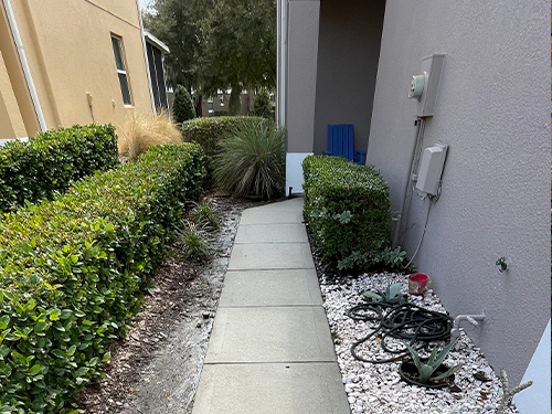 Driveway and Sidewalk Winter Garden