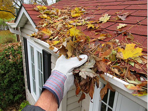 Vinyl Siding Cleaning 