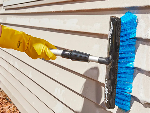 Vinyl Siding Cleaning in Winter Garden
