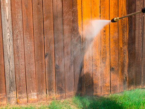 Fence Cleaning in Winter Garden