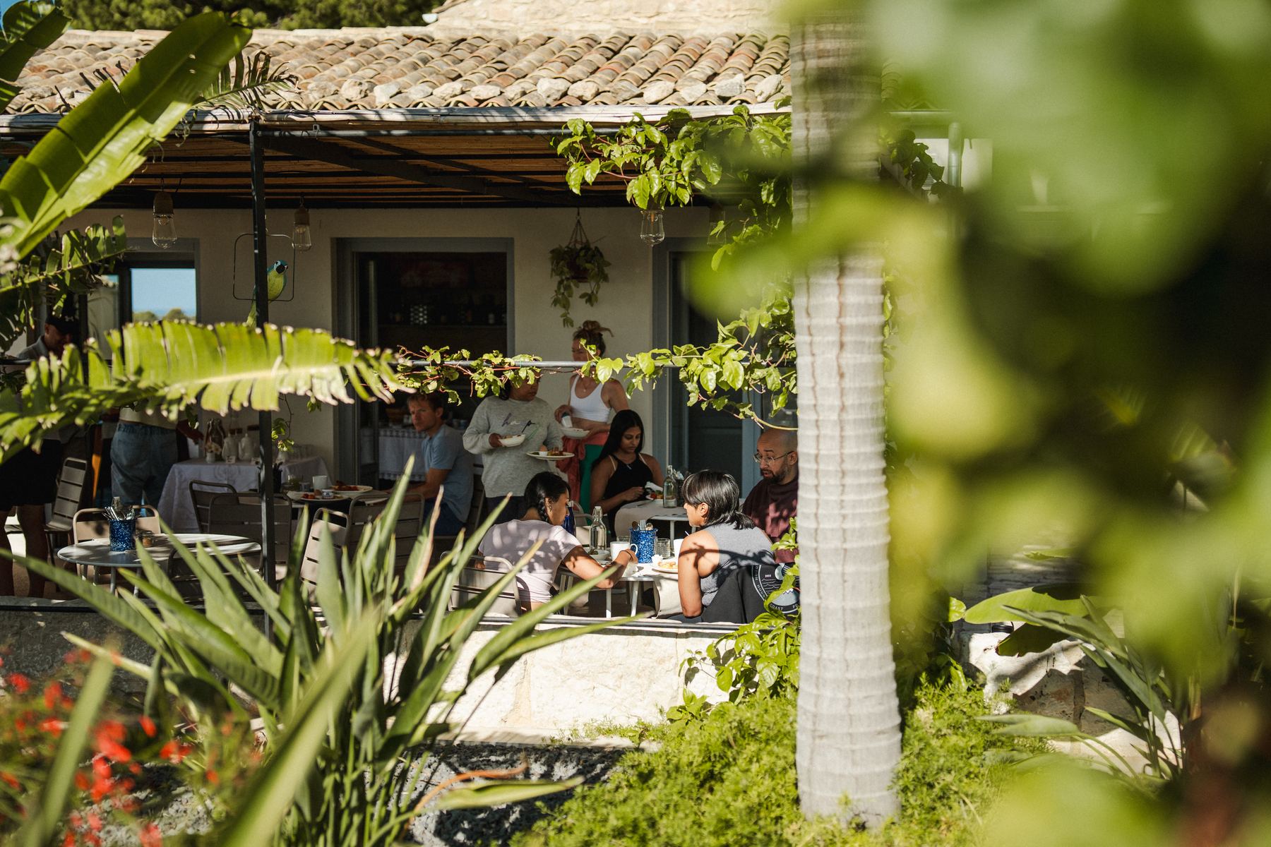 A shared meal on the terrace, seen through the garden